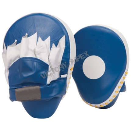 Punching Mitt