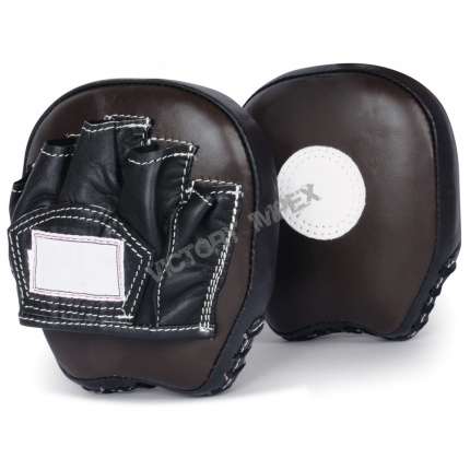 Punching Mitt